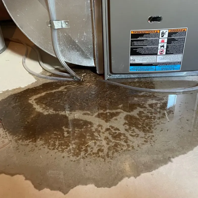 Pipe Burst and Leak Restoration in Pulaski County, MO